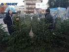 Жителей Крымска призвали правильно утилизировать новогодние елки