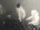 В ст.Варениковской группа молодых людей украла из нового парка недавно посаженные ели