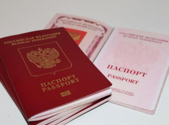 В России с 1 июня возобновят прием заявлений на биометрические загранпаспорта 