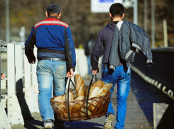 Мигранты: отбирают хлеб или работают там, где не хотят работать местные?