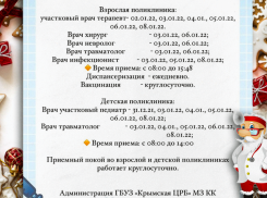В Крымской ЦРБ рассказали о том, как медучреждение будет работать в новогодние праздники