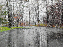 Последний день весны на Кубани будет дождливым