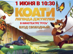 В День защиты детей кинотеатр «Русь» приглашает всех на бесплатный показ мультфильма «Коати. Легенда джунглей»