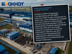 Абинский электрометаллургический завод попал в список брони от мобилизацию?