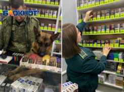 В Абинском районе таможенники изъяли 5378 пачек сигарет без акцизных марок
