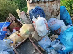 В станице Троицкой мусорные контейнеры обрастают мусором