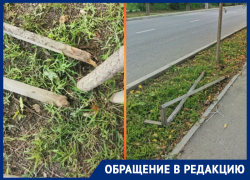 В Крымске подростки сломали опоры для деревьев