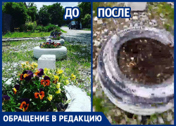Жительница Крымска вернулась домой и обнаружила  пустые клумбы