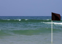 На пляжах Азовского побережья подняли чёрные флаги