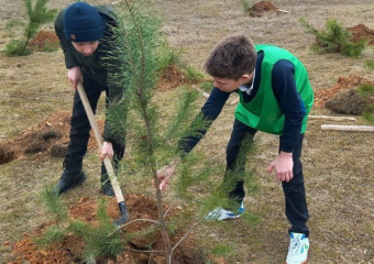 «Сад Памяти»: школьники Крымского района высадили деревья