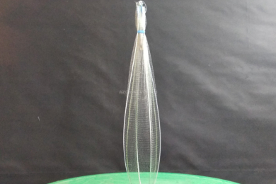 Кот-малявочник - 