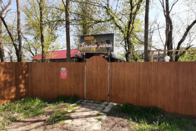 Кафе "Белые Ночи"