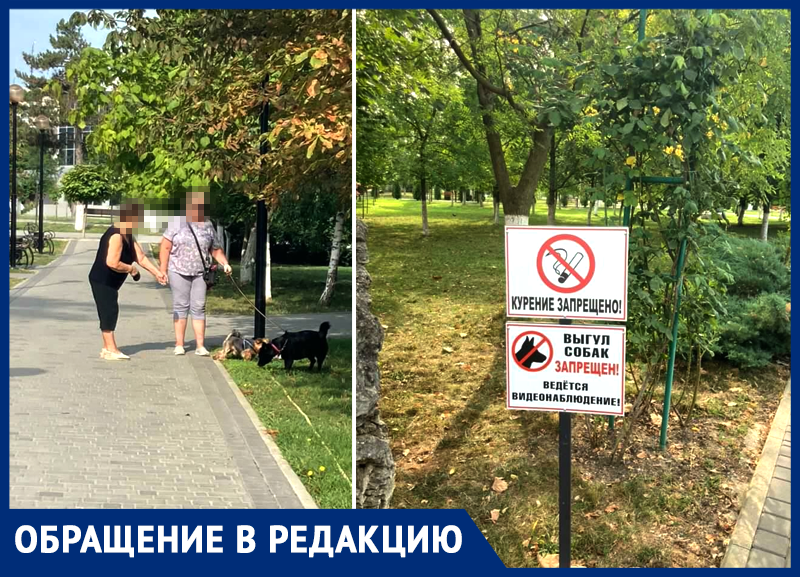 Жительница Крымска осталась недовольна тем, что в центральном парке выгуливают собак