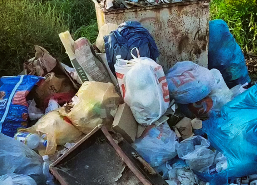В Краснодарском крае завышали цены на вывоз мусора на 28%