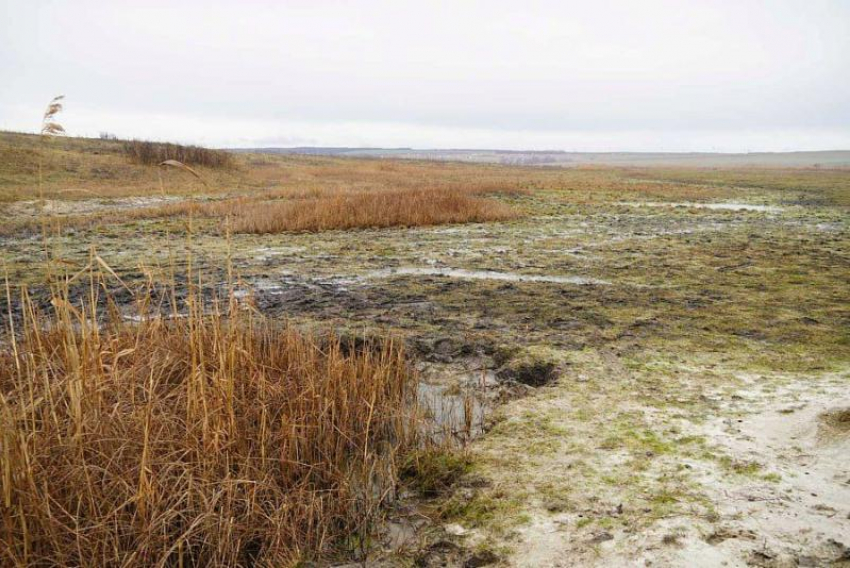 Особо охраняемые природные зоны могут появиться в Крымском районе